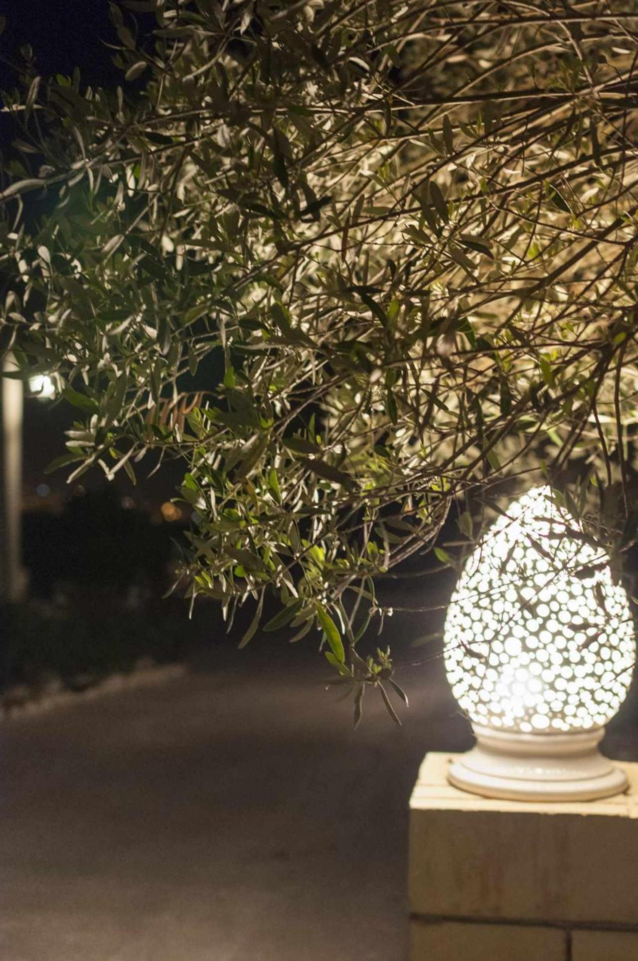 Tenuta Olive Alive Noto Exteriér fotografie