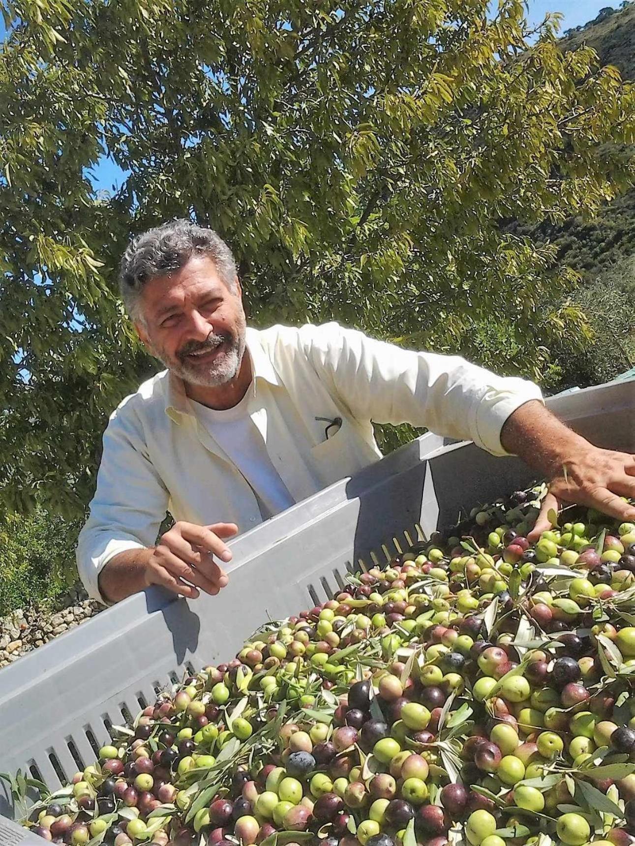 Tenuta Olive Alive Noto Exteriér fotografie